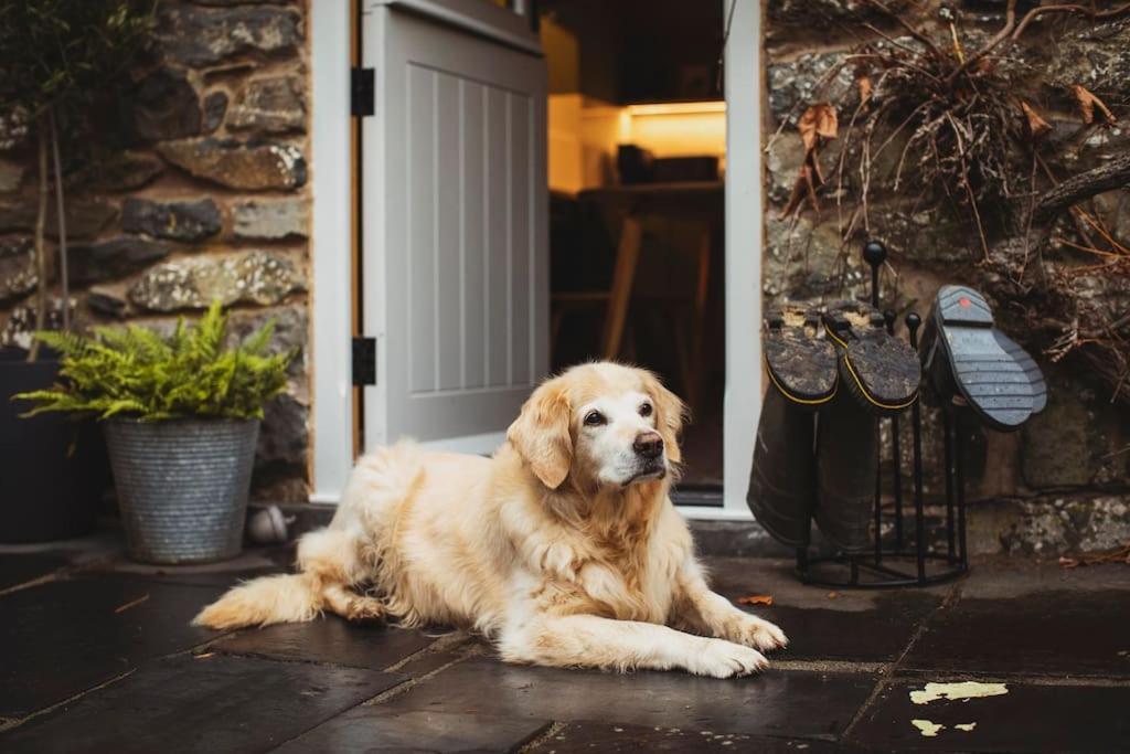 River Cottage, A Luxurious And Cosy Riverside Cottage For Two Welshpool Eksteriør bilde